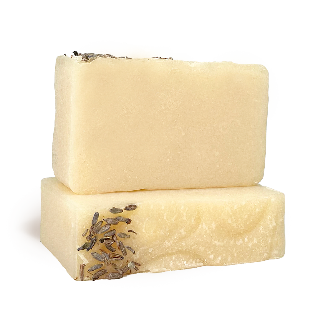 southafricanlavender.png southafricanlavender.png